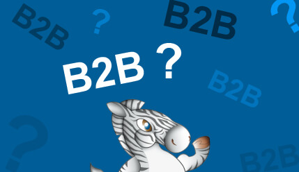 Elements of Value What‘s B2B buyers want